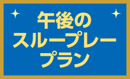 午後のスループレープラン
