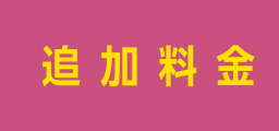 追加料金