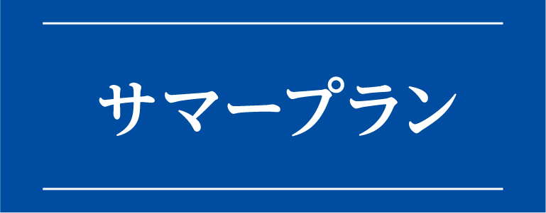 サマープラン